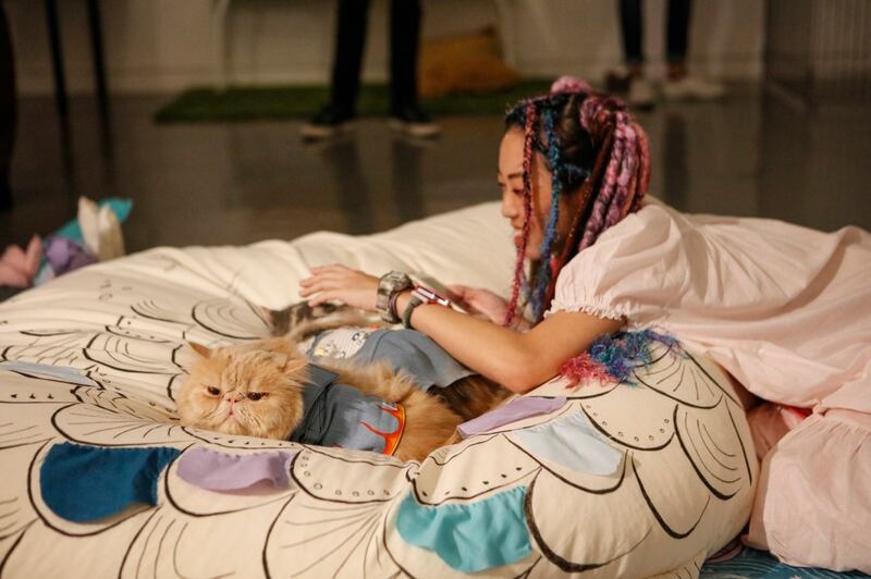 Artist Kelly Limerick spends time with feline friends in the gallery (Wellness/PA)