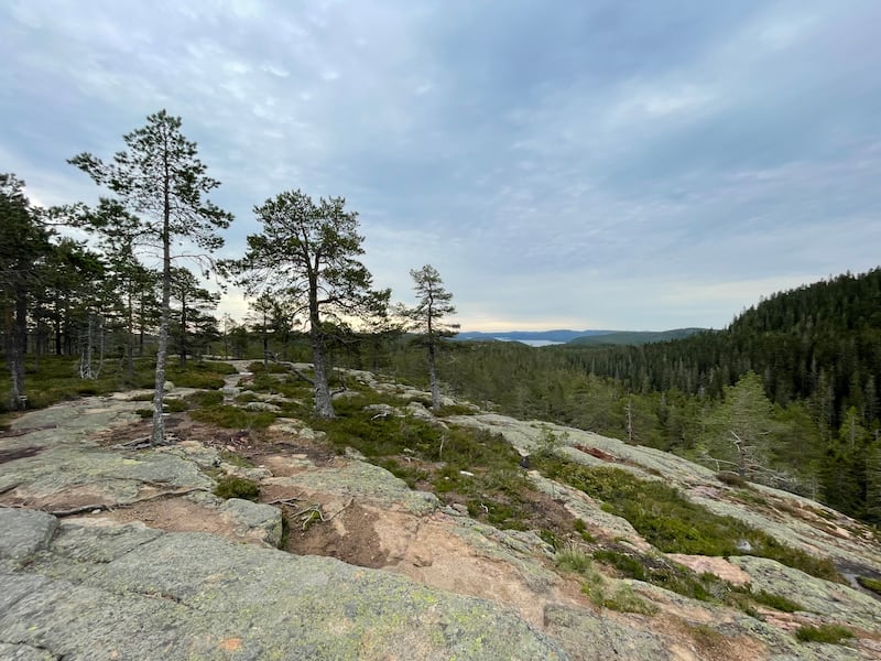 Hiking in Skuleskogen National Park (Sarah Marshall/PA)