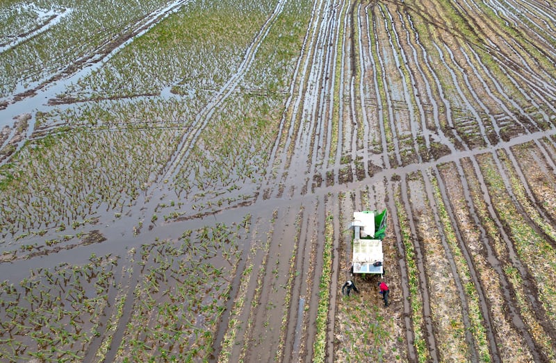 A fall in the volume of domestic production of vegetables between 2021 and 2023 was mainly caused by extreme weather conditions