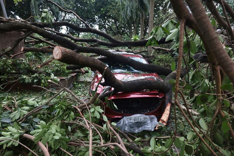 A car is crushed underneath a broken tree in Hanoi after Typhoon Yagi hit the Vietnamese capital (Tran Quoc Viet/VNA/AP)