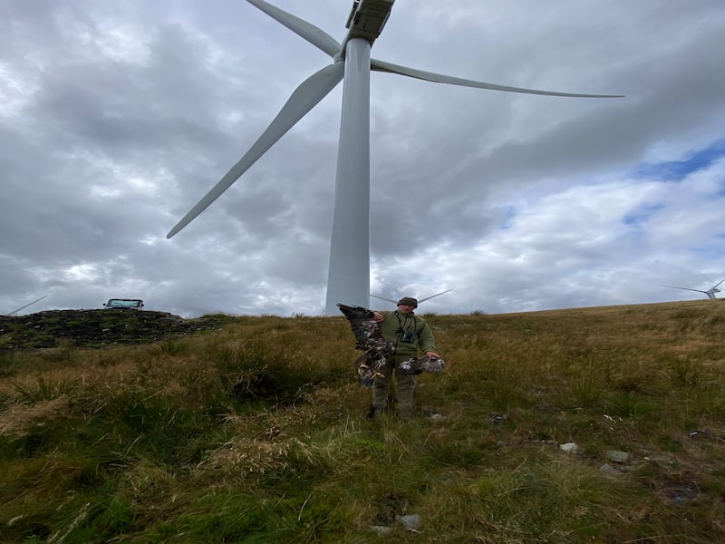 Sparky was found 15 metres from a turbine with his wing detached