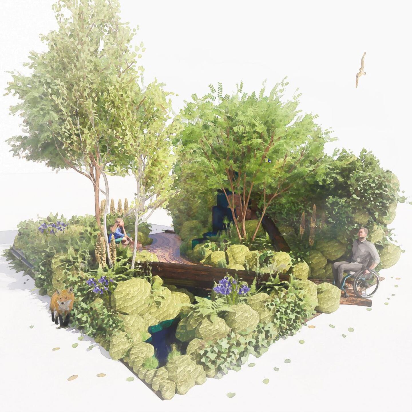 Garden Inspired By ‘magical’ British Rainforest Set For Chelsea Flower 