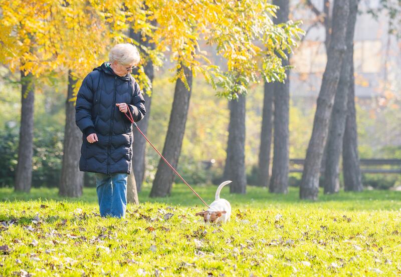 Take a walk in the fresh air