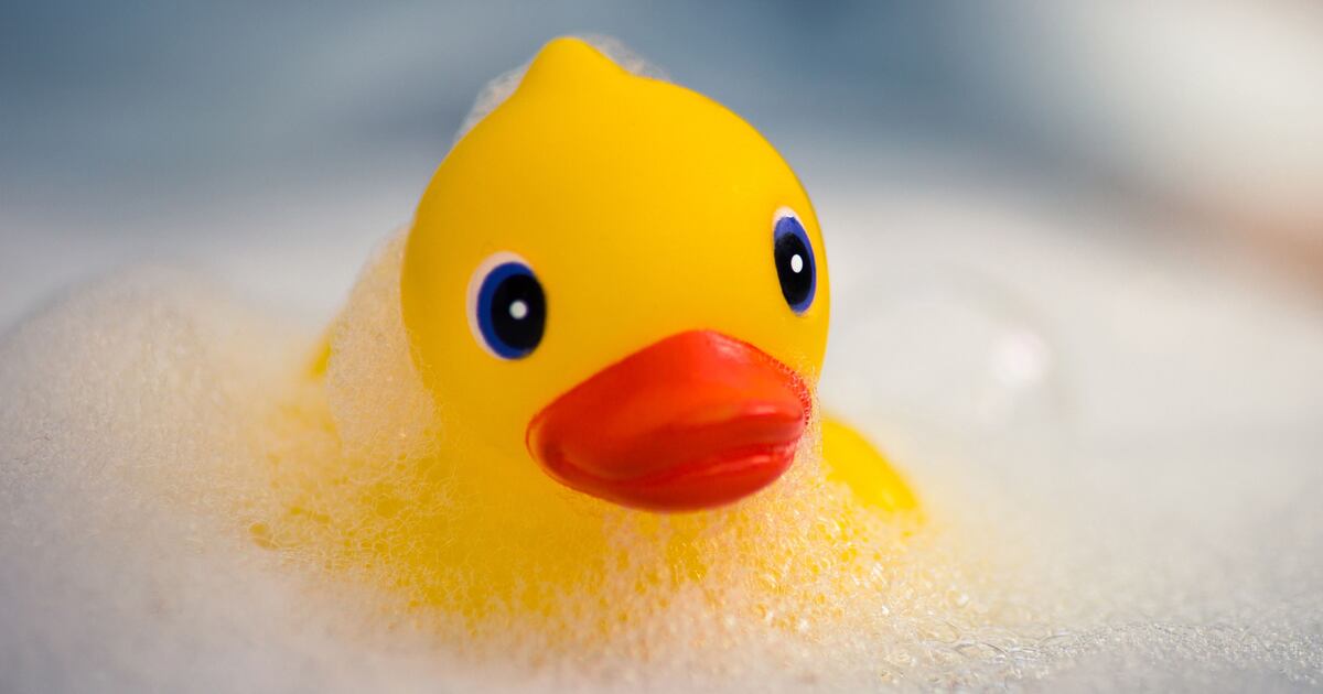 Rubber ducky filled with 'potentially pathogenic' bacteria, study says