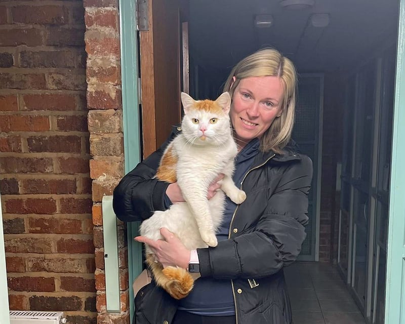 Cara reunited with Beans (Cats Protection)