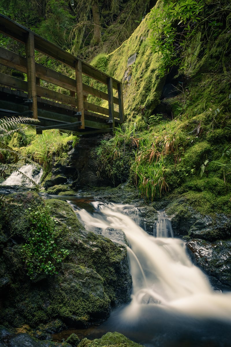 Puck’s Glen, Cowal, Scotland