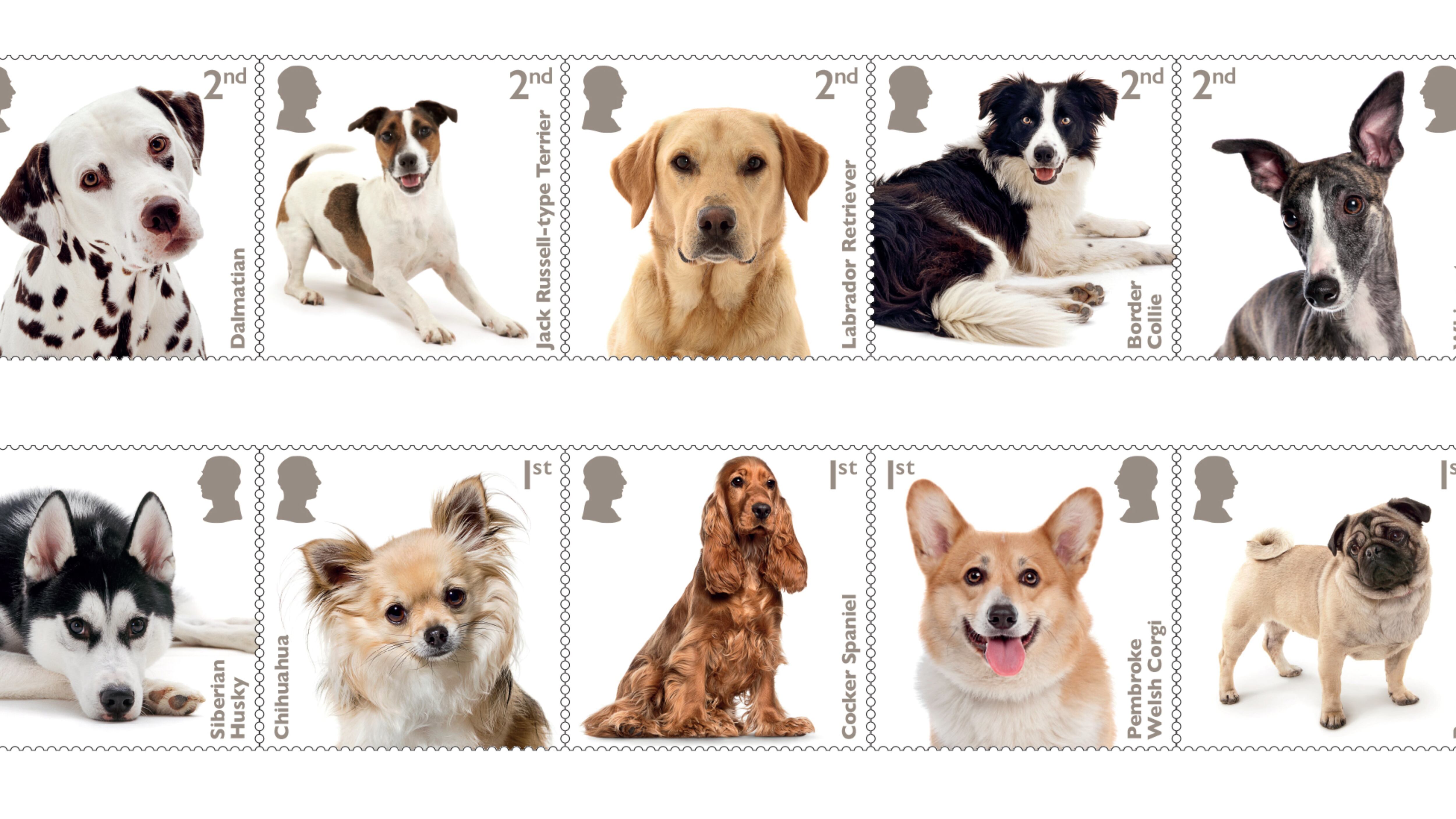 Royal Mail’s new set of stamps featuring images of some of the nation’s favourite dog breeds