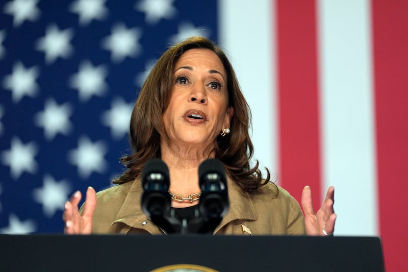 Vice President Kamala Harris speaks about immigration in Douglas, Arizona (Carolyn Kaster/AP)