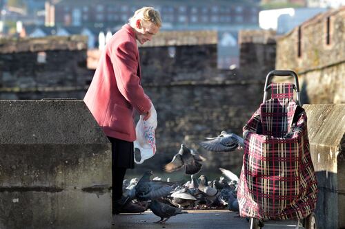 Remembering Margaret McCallion: Derry’s ‘wee pigeon woman’ was a lady and true legend