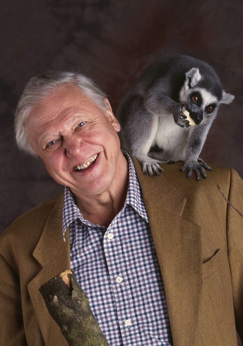 Sir David Attenborough with a lemur from Life Of Mammals