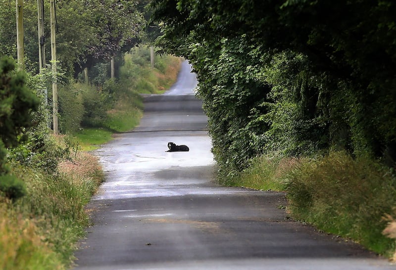 Ballygudden Road, the scene of Tuesday's fatal quad bike accident.