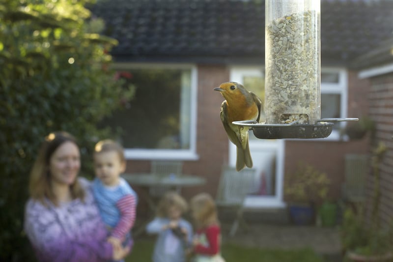 Big Garden Birdwatch has been running since 1979 and last year half a million people reported sightings of over nine million birds