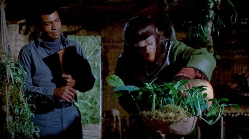 Austin Stoker as MacDonald watches Roddy McDowall as Caesar watering a plant in a scene from Battle For The Planet of The Apes