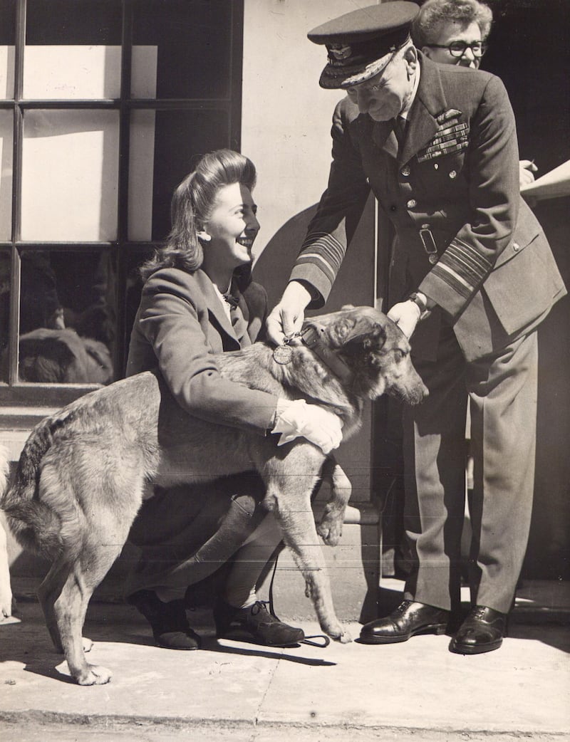 Brian the dog was also honoured for wartime service