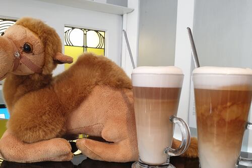 Cafe launches camel milk cappuccinos to help Kenya farmers