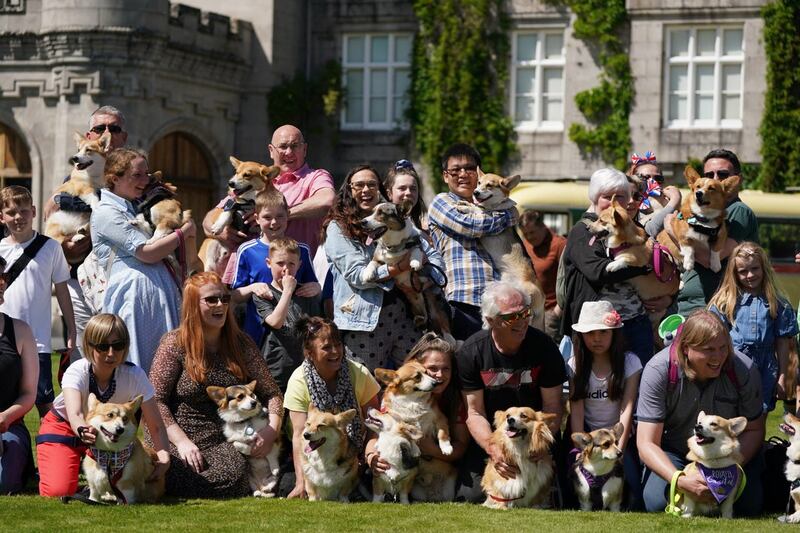 Corgis at Balmoral