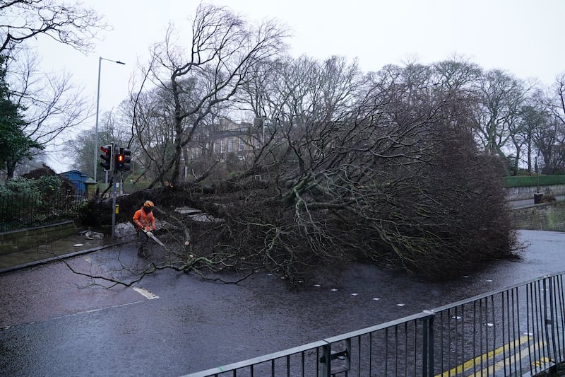 Workers have been removing fallen trees in Edinburgh