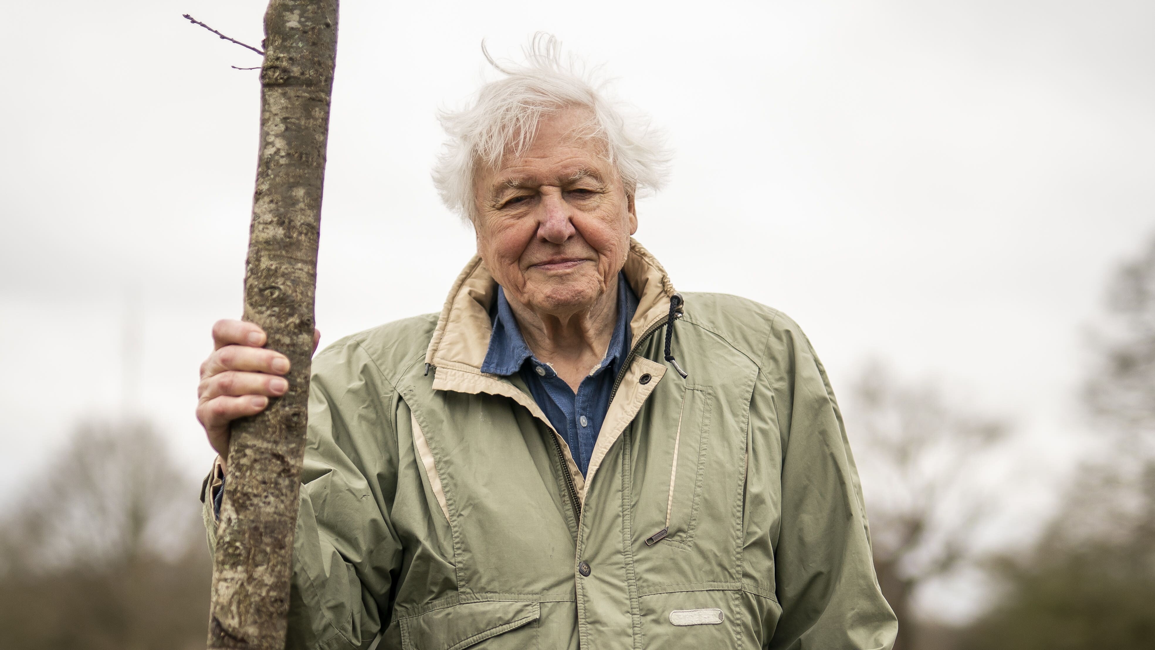 Sir David Attenborough will host new Sky documentary series Secret World Of Sound (Aaron Chown/PA)