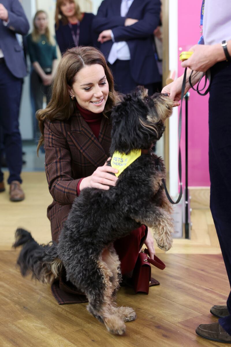 Kate meets therapy dog Scout