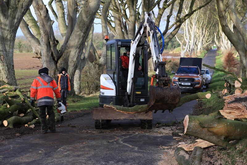 Workmen continue their clear up after a number of trees in Northern Ireland made famous by the TV series Game Of Thrones were damaged and felled by Storm Isha