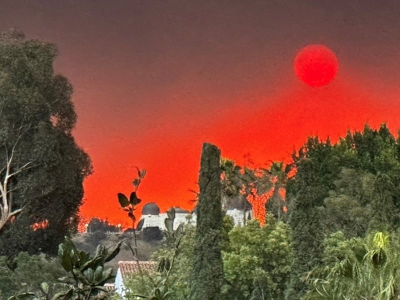 Mr Young said the last week has felt ‘dystopian’ after he saw the skies of LA turn red and orange (Craig Robert Young)