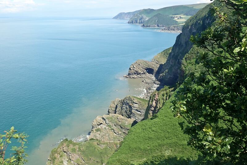 The sandstone cliffs in southwest England where scientists discovered the world’s oldest fossil forest (Neil Davies/University of Cambdrige)