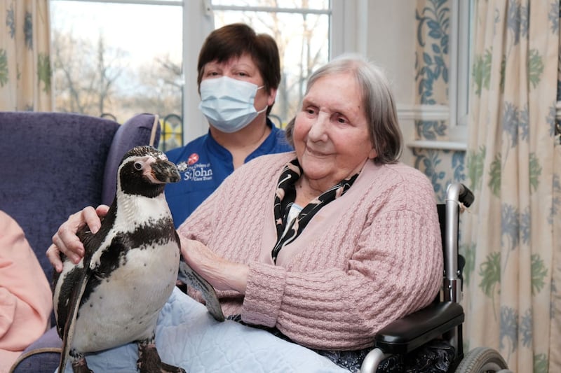 Penguins visit care home residents