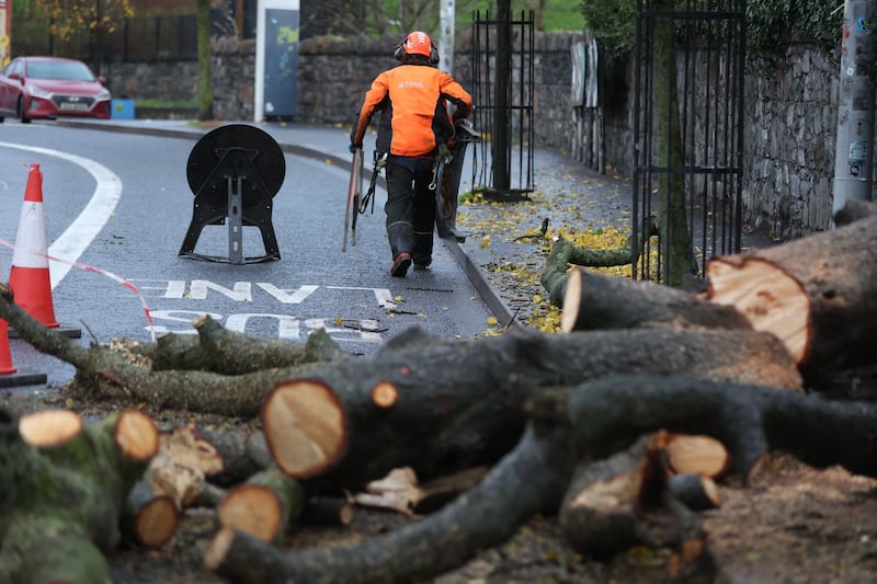 Crews clear fallen trees on the Falls Road between Broadway and Donegall Road. Pic Mal McCann