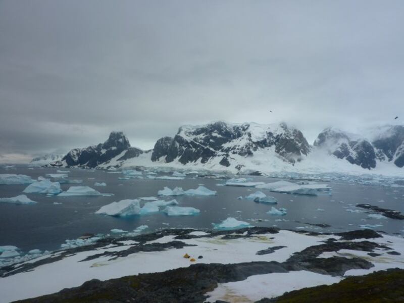 View from the summit of Green Island moss banks.