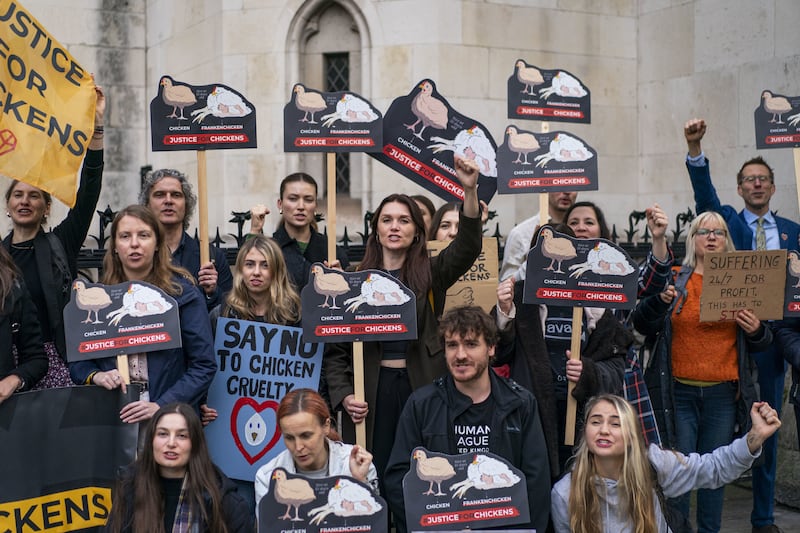 Animal welfare supporters outside the Royal Courts Of Justice in London