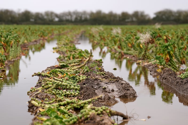 Farmers have been hit by extreme weather such as flooding this year