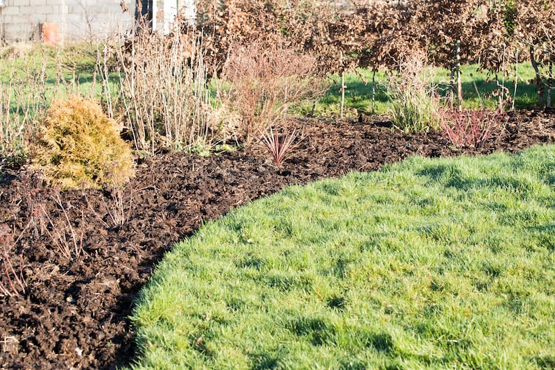 Add a good layer of mulch to protect plants