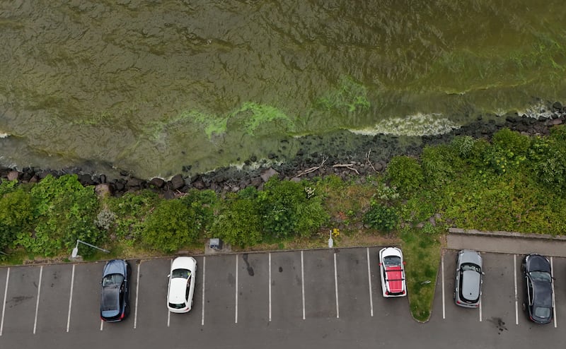 General views of Blue Green Algae concentrations on the shores of Lough Neagh in Co Antrim