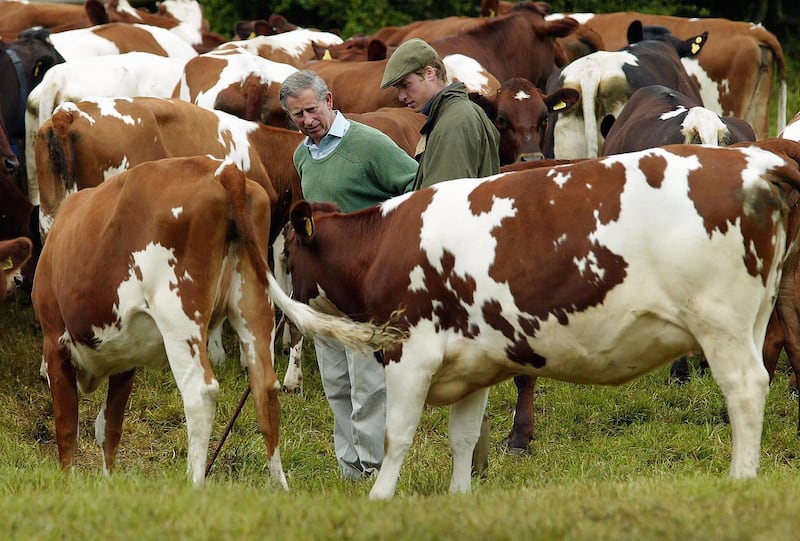 Charles and William inspect a royal herd of Ayrshire dairy cattle on Duchy land in 2004