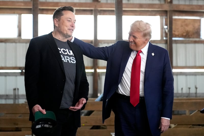 Elon Musk with Donald Trump at a campaign event before the election (Alex Brandon/AP)