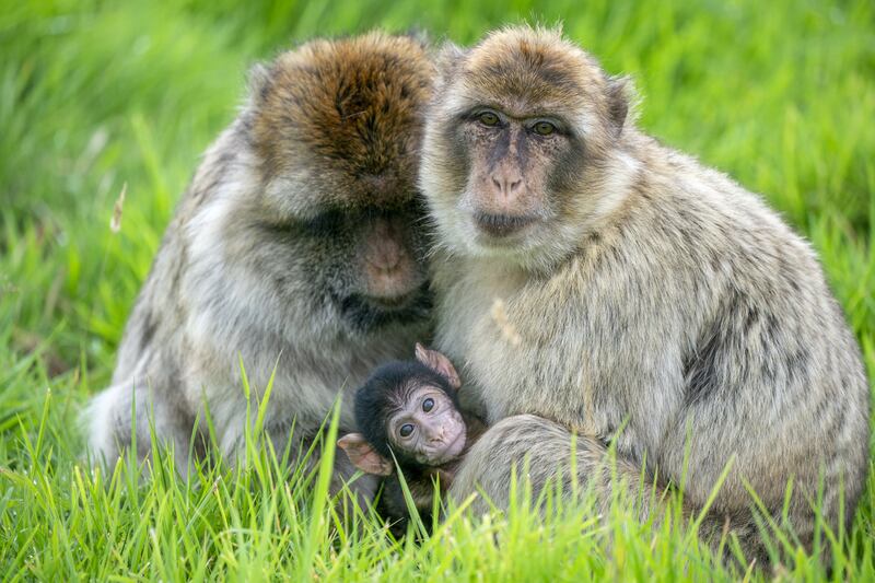 Harper with her mother Eadie, right, and grandmother Coral