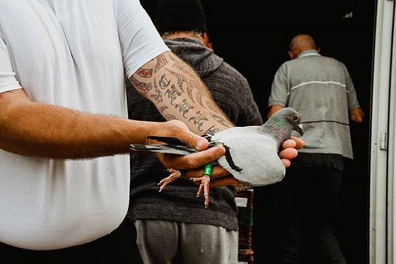 Pigeon fanciers in Blyth