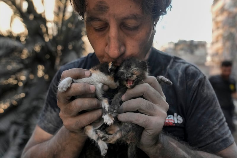 A volunteer with the Animals Lebanon rescue group kisses kittens after rescuing them from debris of destroyed buildings in Beirut (AP Photo/Bilal Hussein)