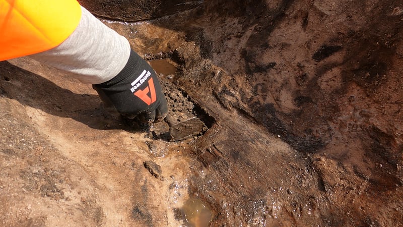 The wooden spade in situ, carefully excavated by Wessex Archaeology experts working on The Moors at Arne project