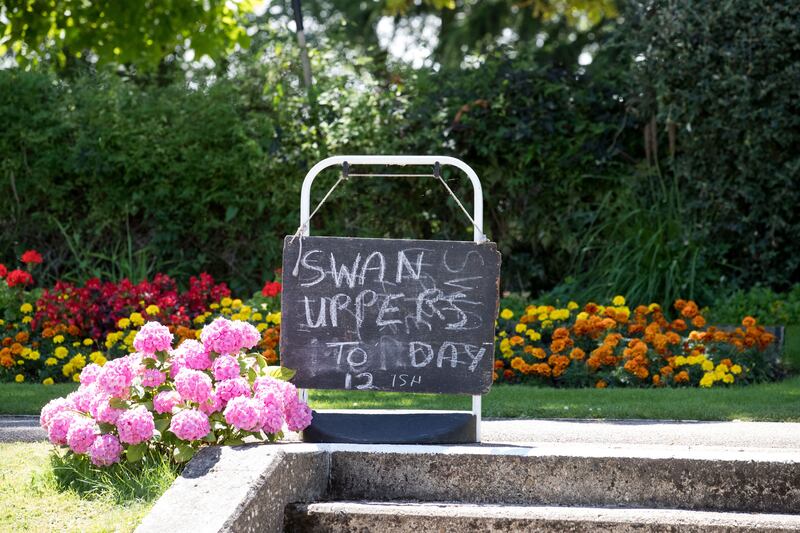 A sign near the Swan Upping