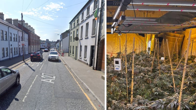 The cannabis factory was discovered in a property on Newry's Canal Street