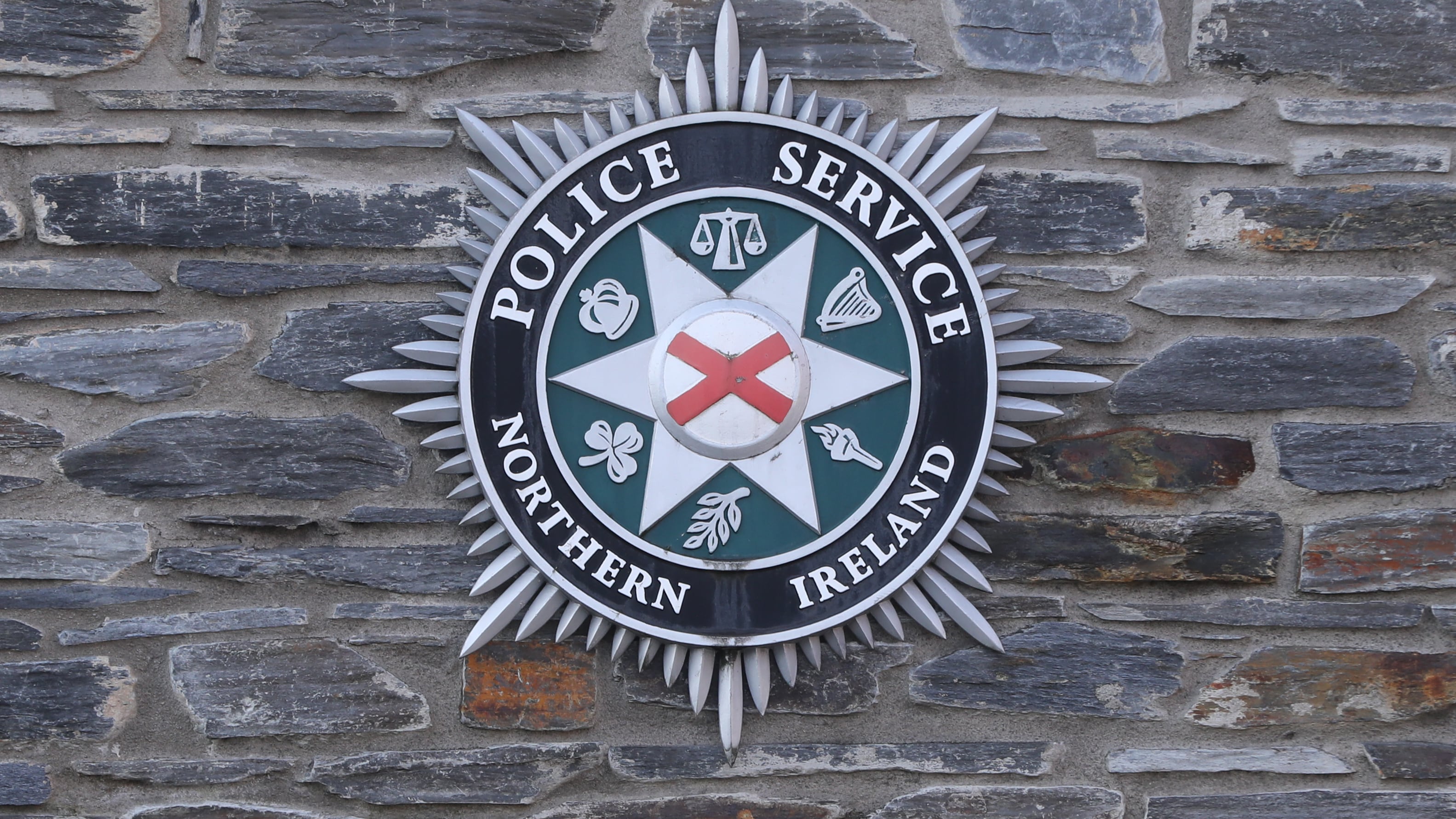 The PSNI has appealed for information after a goose was seriously injured in Co Armagh