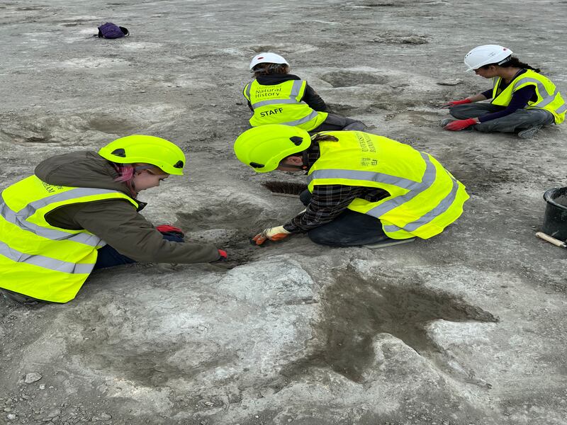 During the new excavation, more than 20,000 images were created of the prints.