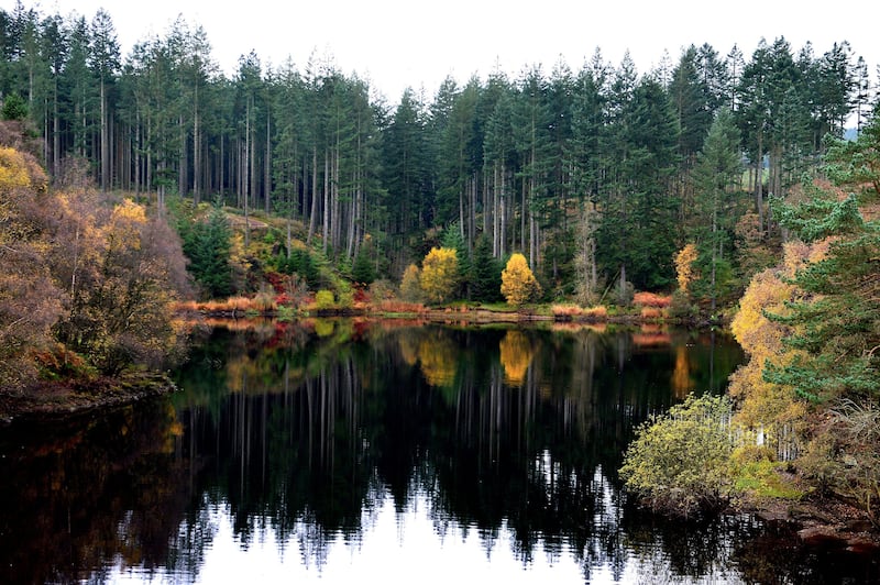 Kielder Water and Forest Park in Northumberland.