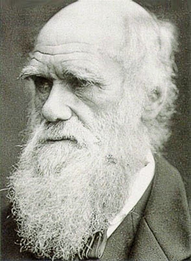 Charles Darwin&#39;s hugely influential On the Origin of Species was published in 1859 