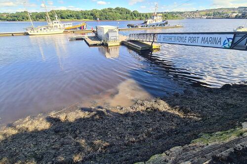 Derry councillors discuss raw sewage discharging into River Foyle