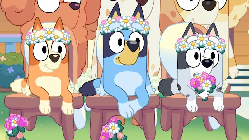 Bingo, Bluey and Muffin watch Uncle Rad and Aunt Frisky get married