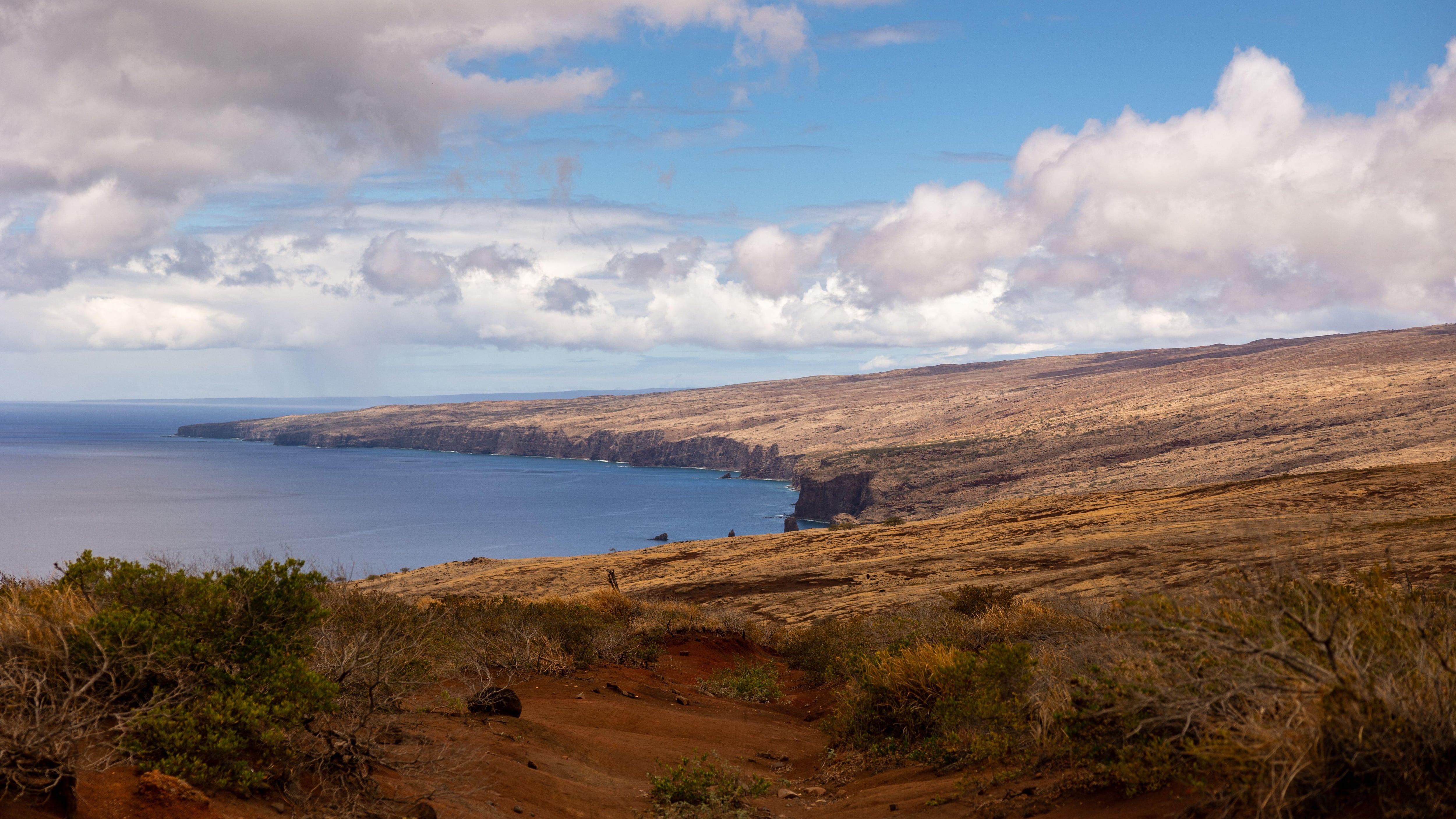 Tamayo Perry died off the coast of Hawaii ( Lori Barbely / Alamy Stock Photo)