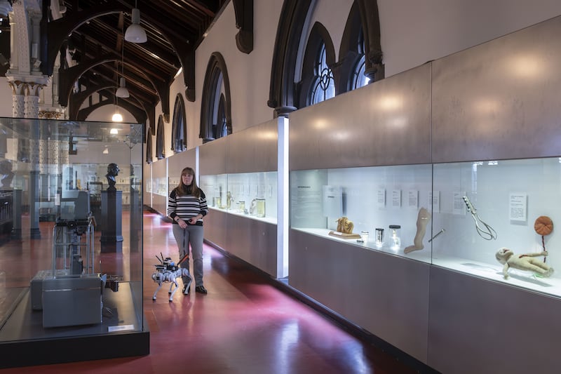 The RoboGuide supports a visitor at the Hunterian Museum in Glasgow