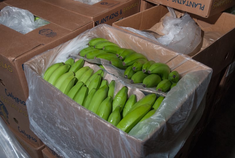 The drugs were found in bananas which arrived at the Port of Dover between May and September 2020